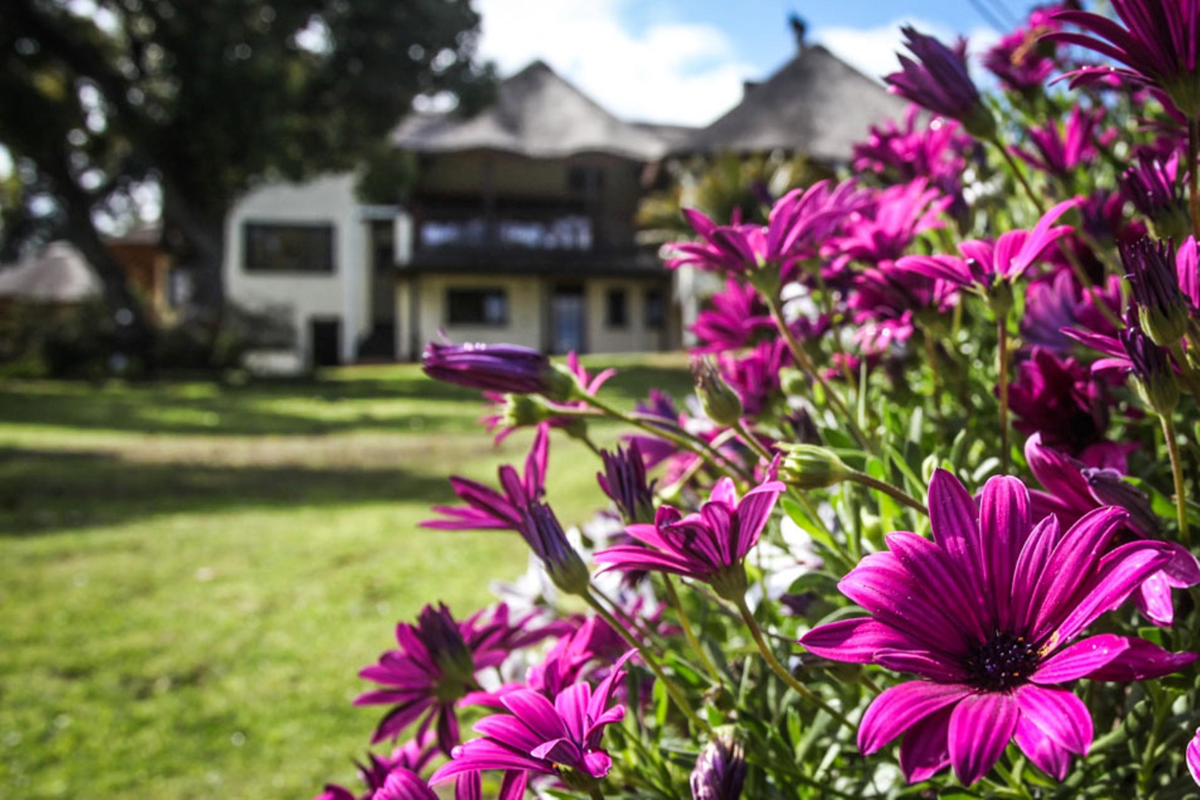 Winelands Villa Pensión y Cottages Somerset West Exterior foto
