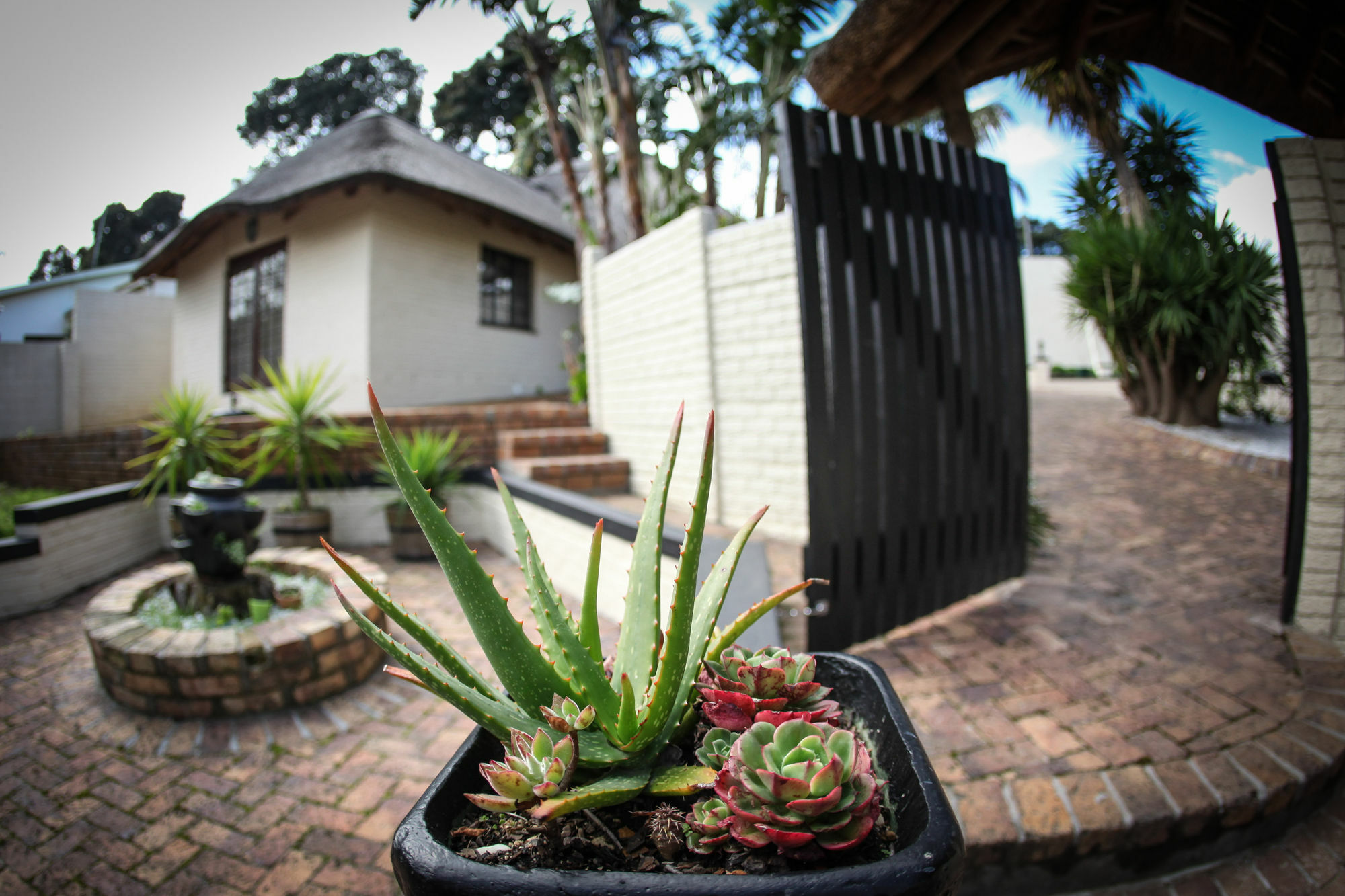 Winelands Villa Pensión y Cottages Somerset West Exterior foto